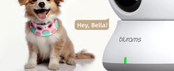 Blurams Baby Monitor Camera 2K HD Home Security Camera with Motion Detection and Two-Way Audio, Easy Setup, Clear Day & Night