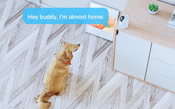 ZOSI C518 Indoor Pan/Tilt Smart Security IP Camera 2K 360° Baby Pet Monitor AI Human Tracking 2.4G/5G WiFi Surveillance Camera